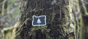 Upcoming Reforestation Focus: Oregon
